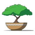 Vector Illustration of colorful bonsai tree