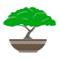 Vector Illustration of colorful bonsai tree