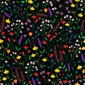 Vector illustration. Colorful ditsy wild flowers seamless repeat pattern. Yellow, red purple, pink orange and pink flowers.