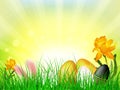 Vector illustration of colorful easter eggs hidden in grass on shiny ray background.