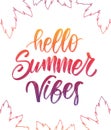 Vector illustration: Colorful Handwritten type lettering of Hello Summer Vibes with palm leaves on white background.