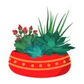 Vector illustration of a colorful pot with a set of different succulents and catuses in a cartoon style. Royalty Free Stock Photo