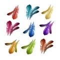 Vector illustration of colorful soft fluffy bird feathers set isolated on white background Royalty Free Stock Photo