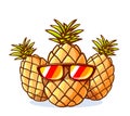 Vector illustration of colorful yellow hipster pineapples with s Royalty Free Stock Photo