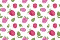 Vector illustration colourful seamless pattern raspberry and leaves. Doodle cute style object on white background.