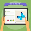 Vector illustration concept of hands holding modern digital tablet and pointing on screen with website about wildlife. Flat design Royalty Free Stock Photo