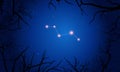 Vulpecula constellation. Tree branches, starry sky Royalty Free Stock Photo