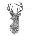 Vector illustration continuous line head of deer isolated