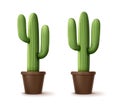 Vector illustration of cordon cactus or pachycereus pringlei, houseplants in pot isolated on background Royalty Free Stock Photo