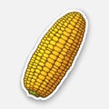 Vector illustration. Corn cob without leaves. Healthy vegetarian food. Ingredient for salad