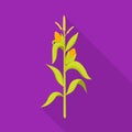 Vector illustration of corn and stalk sign. Set of corn and field stock symbol for web. Royalty Free Stock Photo