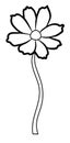 Vector illustration of cosmos flower