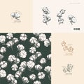 Vector illustration cotton branch - vintage engraved style. Logo composition in retro botanical style. Seamless pattern.