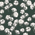 Vector illustration cotton branch - vintage engraved style. Seamless pattern in retro botanical style.