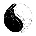 Vector illustration of couple cats black and white colors. Love story cats Yin Yang Cats. Simple and cute black and white cats in
