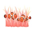 A couple of cute cartoon clownfish and sea anemones on white background Royalty Free Stock Photo