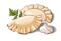 Vector illustration of a couple dumplings, sour cream and parsley.