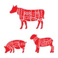 Vector illustration cow, lamb and pork cuts diagramm or chart.