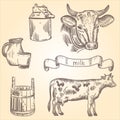 Cows milk canister jug cup Royalty Free Stock Photo