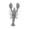 Vector illustration of crayfish and lobster symbol. Set of crayfish and boiled vector icon for stock.