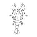 Vector Illustration Of Crayfish  And Lobster Symbol. Set Of Crayfish  And Boiled Vector Icon For Stock.