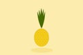 Vector illustration of creative pineapple.