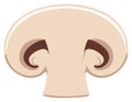 Vector illustration of a cross section of a mushroom Royalty Free Stock Photo