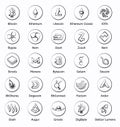 Set of vector crypto currency icons