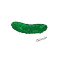 Vector illustration of a cucumber, drawn by hand. Isolate the cucumber. Vegetable engraving illustration style. Detailed