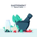 Vector illustration of culinary spices and herbs with mortar and pestle. Flat style.