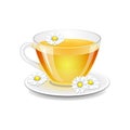 Cup chamomile tea Royalty Free Stock Photo