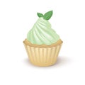 Vector illustration cupcake with mint whipped cream and two green leaves on white background