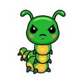 Cute angry little caterpillar cartoon Royalty Free Stock Photo