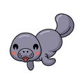 Cute baby manatee cartoon swimming