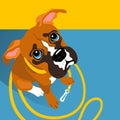 Vector illustration of cute Boxer puppy with leash