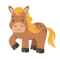 Vector illustration of a cute brown horse in cartoon style, isolated on a white background. Flat style horse, farm Royalty Free Stock Photo