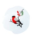 Vector illustration of a cute bullfinch sitting on branch with rowan