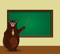 Cartoon bear teacher holding pointer standing near blackboard with copy space In classroom Royalty Free Stock Photo