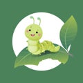 Vector illustration cute cartoon caterpillar chewing green leaf Royalty Free Stock Photo