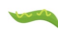 Vector illustration cute cartoon caterpillar chewing green leaf Royalty Free Stock Photo