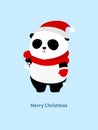 Vector Illustration: A cute cartoon giant panda with red scarf, red christmas hat and red gloves holding snowflake and star decora