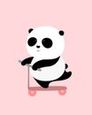 Vector Illustration: A cute cartoon giant panda is on a scooter. Royalty Free Stock Photo