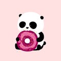 Vector Illustration: A cute cartoon giant panda is sitting on the ground, holding and eating a big chocolate and cherry doughnut /