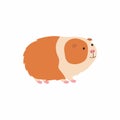 Vector illustration of cute cartoon guinea pig. Royalty Free Stock Photo