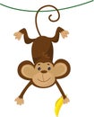 Vector illustration of a cute cartoon monkey with banana