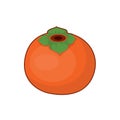 Vector illustration of persimmon fruit