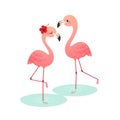 A cute cartoon pink flamingo couple standing on water Royalty Free Stock Photo