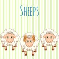 Vector illustration cute cartoon sheep