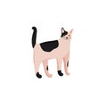 Cute character cartoon style of cat. Icon of domestic metis breed for different design.