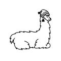 Vector illustration of cute character south America lama in winter hat and scarf. Isolated outline cartoon baby llama. Hand drawn Royalty Free Stock Photo